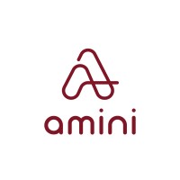Amini Technologies Logo