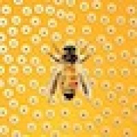 Worldchanging Institute Logo