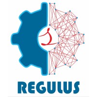 Regulus Soft Solutions Pvt. Ltd. Logo
