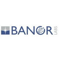 Banor Labs Logo