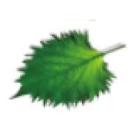 Joginder Nursery Logo