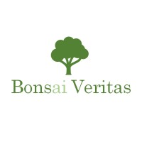 Bonsai Veritas Logo