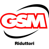 GSM SpA Logo
