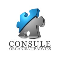 Consule Logo