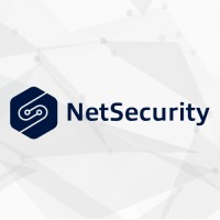 NetSecurity Logo