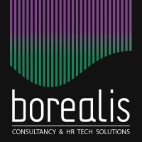 Borealis Consulting Logo