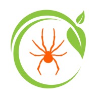 Cashin Sales Logo