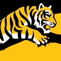 Tiger Teams Logo
