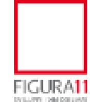 Figura 11 S.r.l. Logo