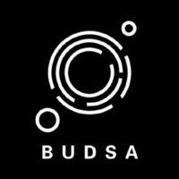 Boston University Data Science Association Logo