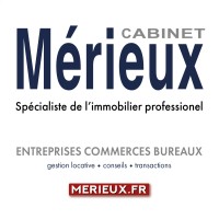 Cabinet Merieux Logo