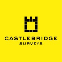 CASTLEBRIDGE SURVEYS LIMITED Logo