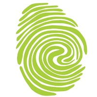 Touch Multimedia Logo