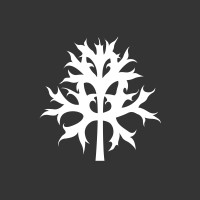 Amy Somerville LTD Logo