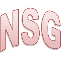 Nelson Service Group Inc Logo