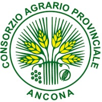 Consorzio Agrario di Ancona Logo