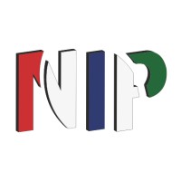 NETVISION IP LTD Logo