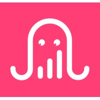 Digital Squid Logo