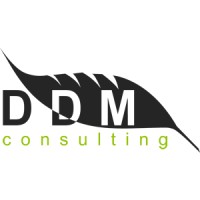 DDM Consulting Logo