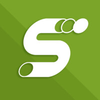 Sineti Consulting Logo