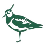 Lapwing Energy Logo