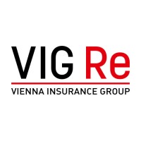 VIG Re Logo