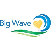 Big Wave Group Logo