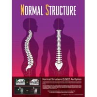 Pinnacle Chiropractic Logo