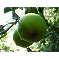 GB Life Coaching Ltd Logo