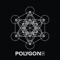 Polygon 8 Logo