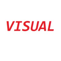 Visual Quality Logo