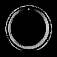 Between the Rats and Snakes Logo