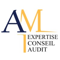 AM Expertise Conseil Audit Logo