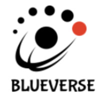 BlueVerse Systems Logo