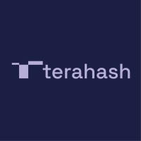 terahash.space Logo