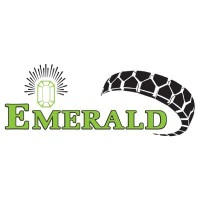 Emerald Resilient Tyre Manufacturers Pvt ltd Logo