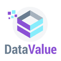Datavalue Logo
