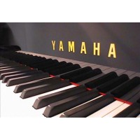 Yamaha Canada Music Logo