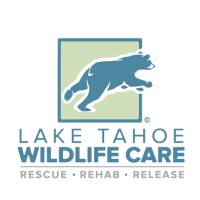 Lake Tahoe Wildlife Care Logo