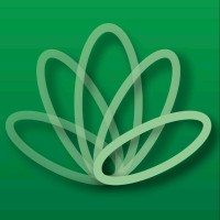 Cairo Amman Bank Logo