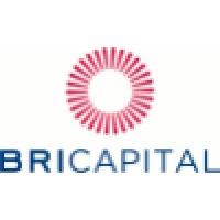 Bricapital Logo