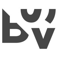 BSV Digital Displays Logo