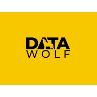 DataWolf Logo