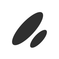 ParaSpace Logo