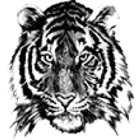 Brinkley High School Logo
