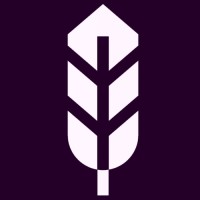 DAOstruct - Bloomberg for DAOs Logo