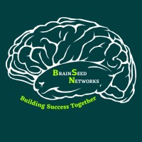 BrainSeed Networks Logo