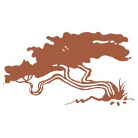 Dojo Productions Inc Logo