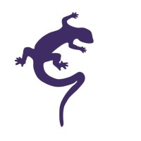 Geckoella Ltd Logo