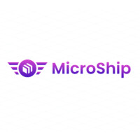Microship Logo